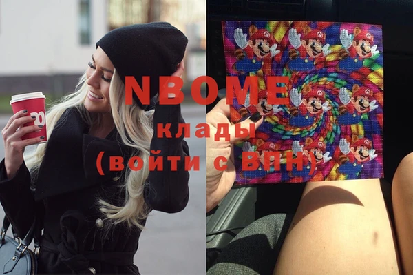 метадон Няндома