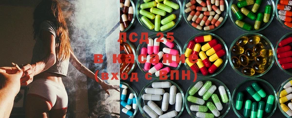 гашик Нефтегорск