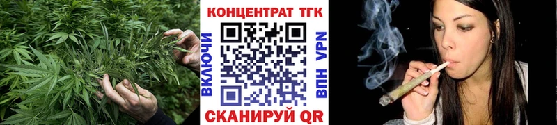 где можно купить   Онега  ТГК концентрат 