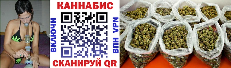 закладка  Онега  Каннабис конопля 